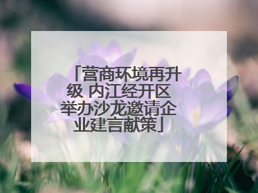 营商环境再升级 内江经开区举办沙龙邀请企业建言献策