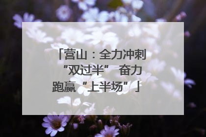 营山：全力冲刺“双过半” 奋力跑赢“上半场”