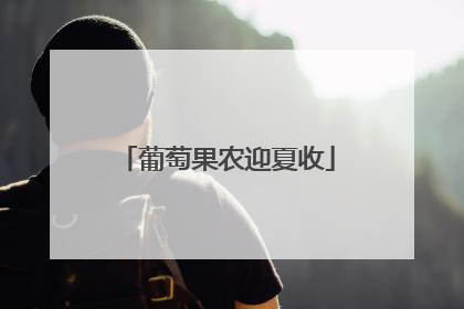 葡萄果农迎夏收