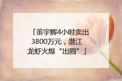 董宇辉4小时卖出3800万元，潜江龙虾火爆“出圈”