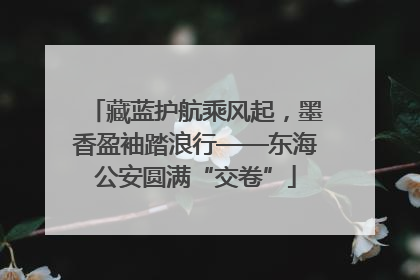 藏蓝护航乘风起，墨香盈袖踏浪行——东海公安圆满“交卷”