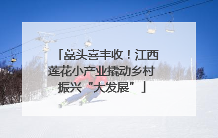 藠头喜丰收！江西莲花小产业撬动乡村振兴“大发展”