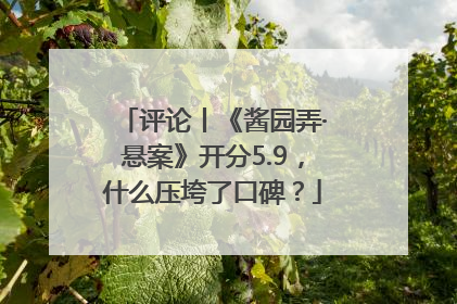 评论丨《酱园弄·悬案》开分5.9，什么压垮了口碑？
