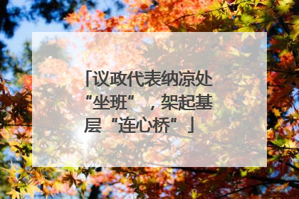议政代表纳凉处“坐班”，架起基层“连心桥”