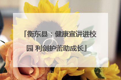 衡东县：健康宣讲进校园 利剑护蕾助成长
