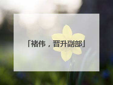 褚伟，晋升副部