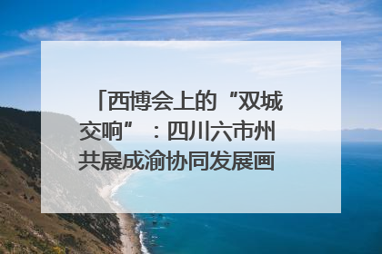 西博会上的“双城交响”：四川六市州共展成渝协同发展画卷｜西博视界