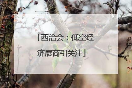 西洽会：低空经济展商引关注