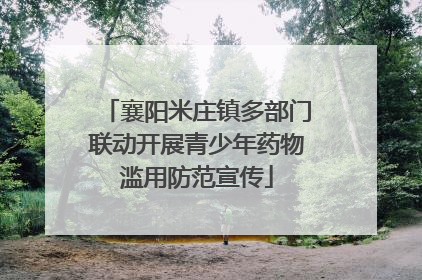 襄阳米庄镇多部门联动开展青少年药物滥用防范宣传