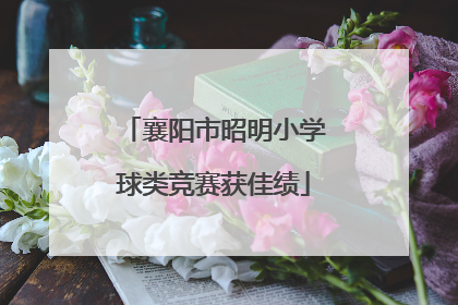 襄阳市昭明小学球类竞赛获佳绩