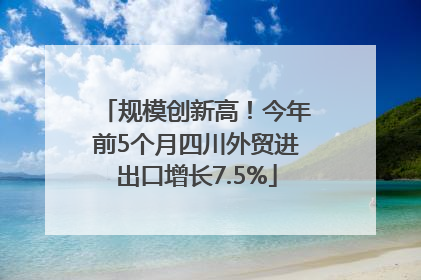 规模创新高！今年前5个月四川外贸进出口增长7.5%