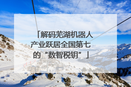 解码芜湖机器人产业跃居全国第七的“数智税钥”
