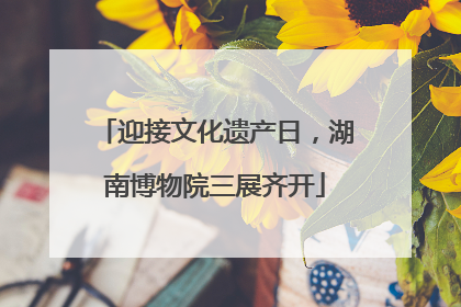 迎接文化遗产日，湖南博物院三展齐开