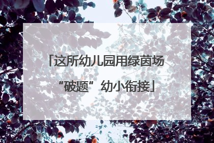 这所幼儿园用绿茵场“破题”幼小衔接