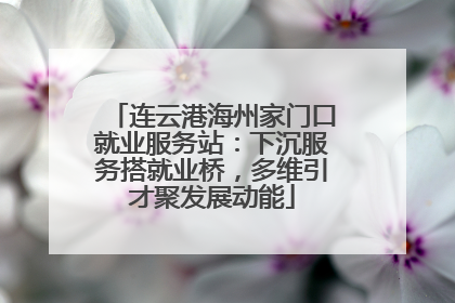 连云港海州家门口就业服务站：下沉服务搭就业桥，多维引才聚发展动能