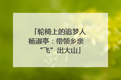 轮椅上的追梦人杨淑亭：带领乡亲“飞”出大山