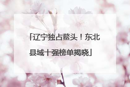 辽宁独占鳌头！东北县域十强榜单揭晓
