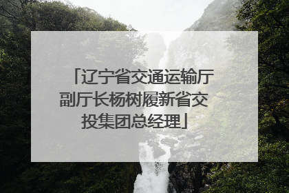 辽宁省交通运输厅副厅长杨树履新省交投集团总经理