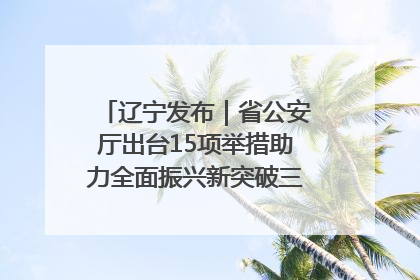 辽宁发布｜省公安厅出台15项举措助力全面振兴新突破三年行动决胜之战