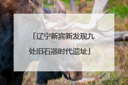 辽宁新宾新发现九处旧石器时代遗址