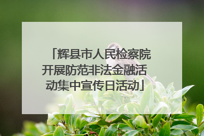 辉县市人民检察院开展防范非法金融活动集中宣传日活动