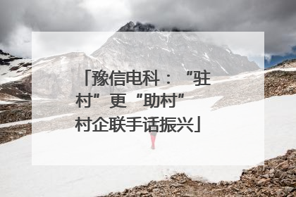 豫信电科：“驻村”更“助村” 村企联手话振兴