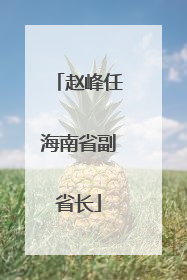 赵峰任海南省副省长