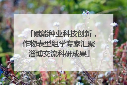 赋能种业科技创新，作物表型组学专家汇聚淄博交流科研成果