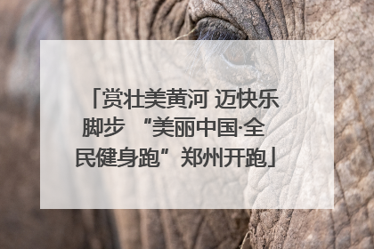 赏壮美黄河 迈快乐脚步 “美丽中国·全民健身跑”郑州开跑