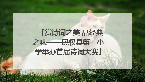 赏诗词之美 品经典之味——民权县第三小学举办首届诗词大赛
