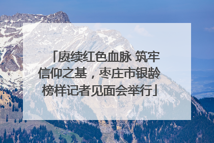 赓续红色血脉 筑牢信仰之基，枣庄市银龄榜样记者见面会举行