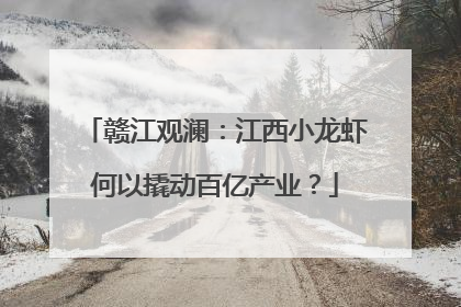 赣江观澜：江西小龙虾何以撬动百亿产业？