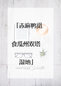 赤麻鸭觅食瓜州双塔湿地