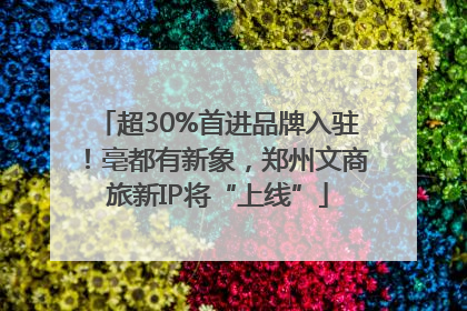 超30%首进品牌入驻！亳都有新象，郑州文商旅新IP将“上线”