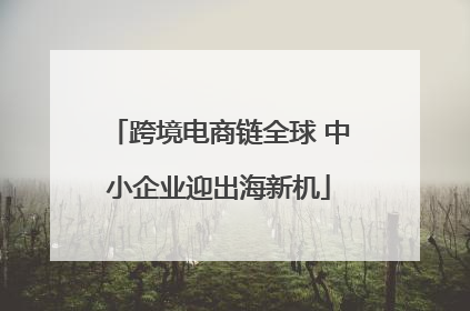 跨境电商链全球 中小企业迎出海新机