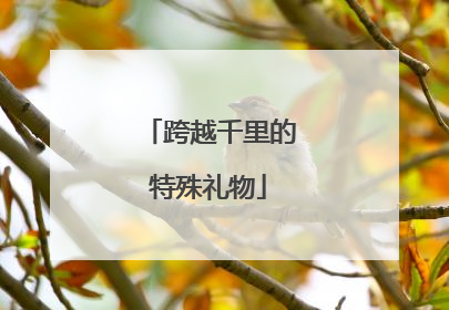 跨越千里的特殊礼物