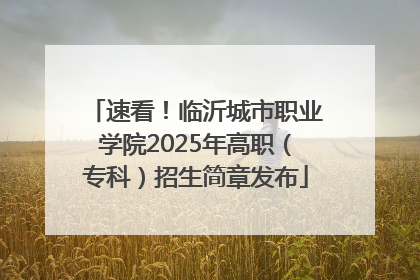 速看！临沂城市职业学院2025年高职（专科）招生简章发布