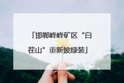邯郸峰峰矿区“白茬山”重新披绿装