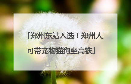 郑州东站入选！郑州人可带宠物猫狗坐高铁