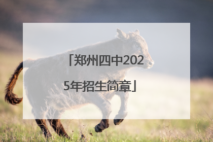 郑州四中2025年招生简章