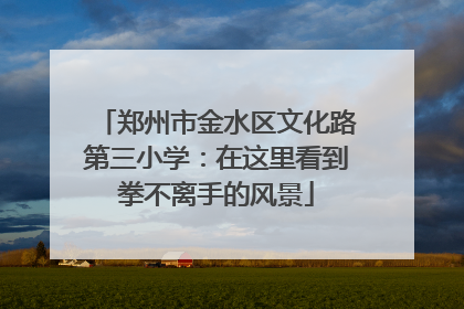 郑州市金水区文化路第三小学：在这里看到拳不离手的风景