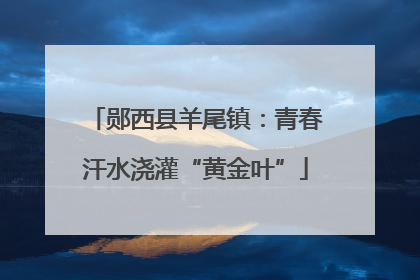 郧西县羊尾镇：青春汗水浇灌“黄金叶”