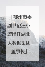 鄂州市委副书记汪小波出任湖北大数据集团董事长