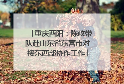 重庆酉阳：陈政带队赴山东省东营市对接东西部协作工作