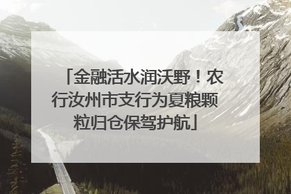 金融活水润沃野！农行汝州市支行为夏粮颗粒归仓保驾护航
