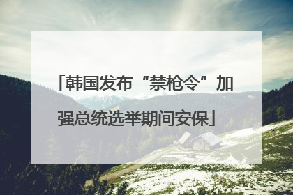 韩国发布“禁枪令”加强总统选举期间安保