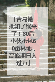 青岛第一批知了猴来了！80后小伙承包60亩林地，高峰期日入过万