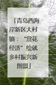 青岛西海岸新区大村镇：“赏花经济”绘就乡村振兴新图景