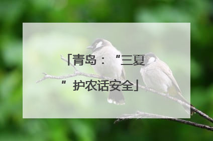 青岛：“三夏”护农话安全