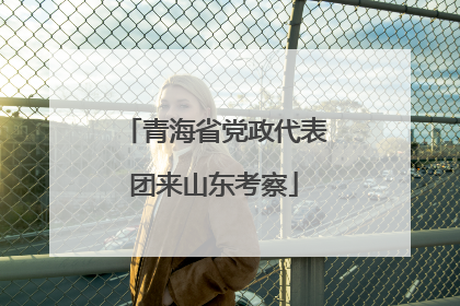 青海省党政代表团来山东考察